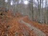 Crimean natural preserve