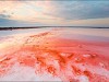Lake Sasyk-Sivash